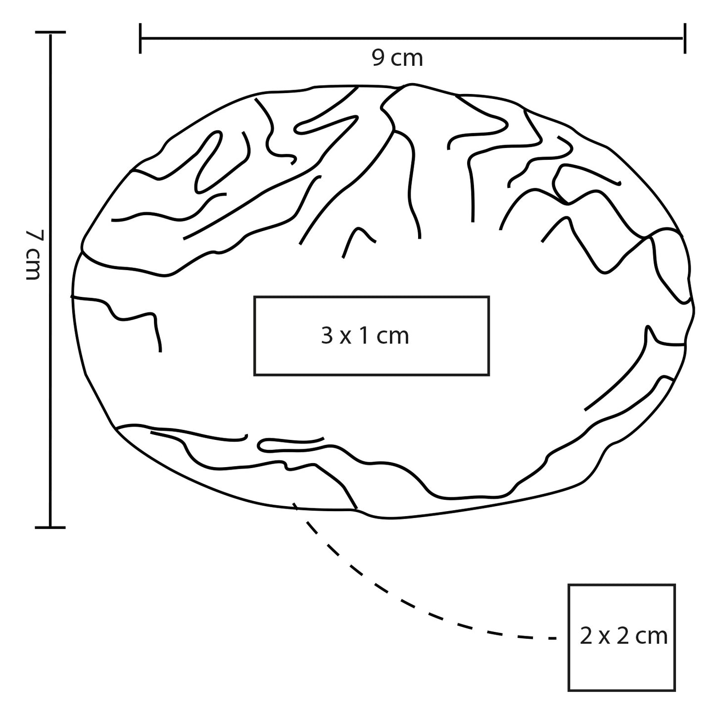 ANTIESTRÉS CEREBRO