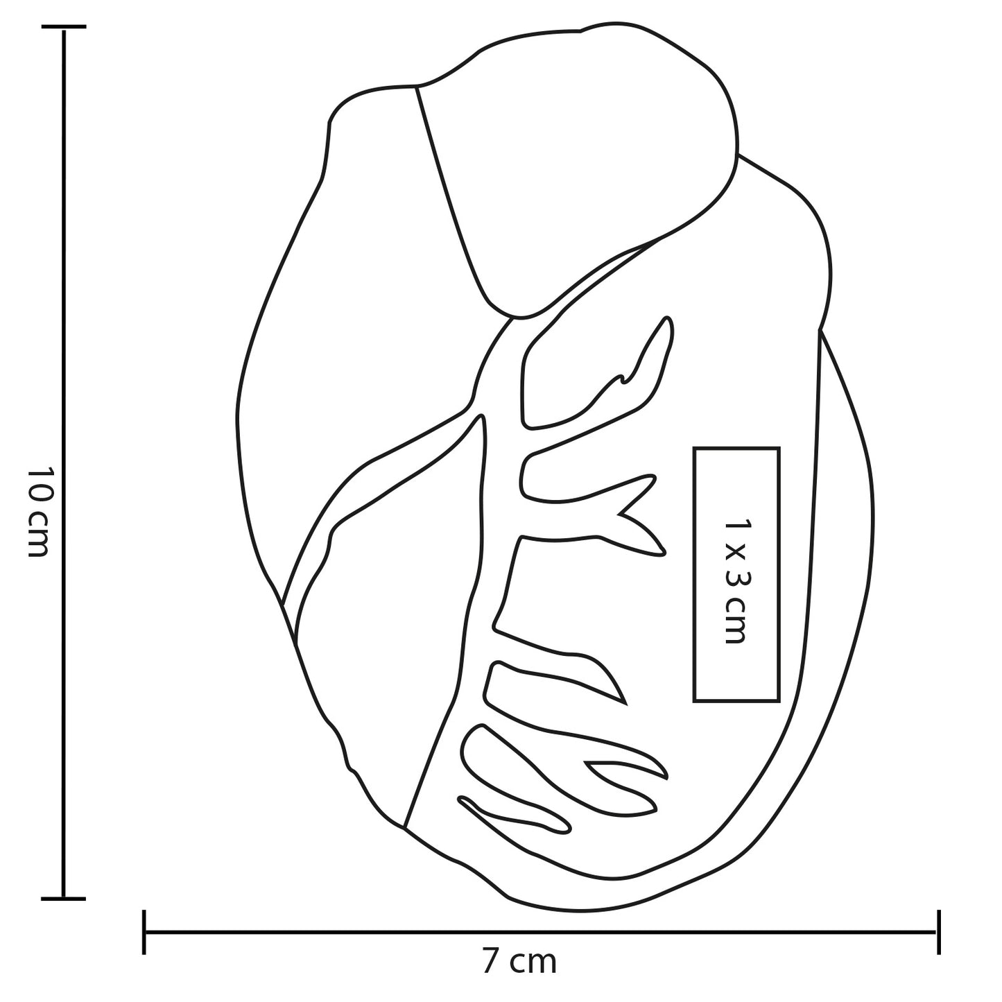 ANTIESTRÉS EN FORMA DE CORAZÓN