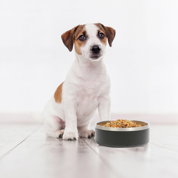 TAZÓN PARA MASCOTAS GEMINI