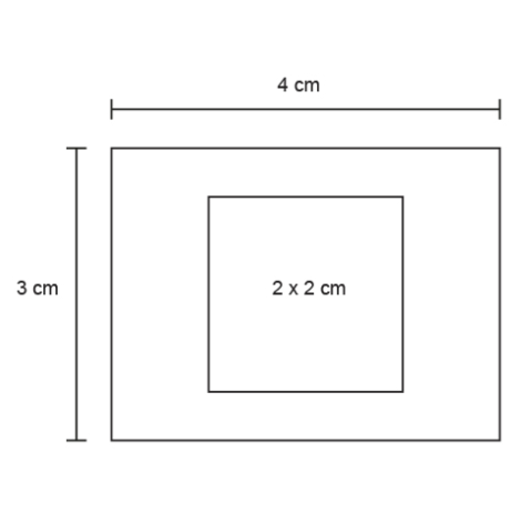 ESCOLARES GOMA BORRADOR