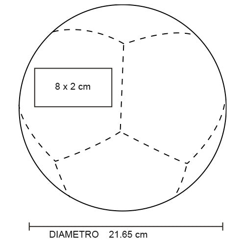 BALÓN DE FÚTBOL VINICIO