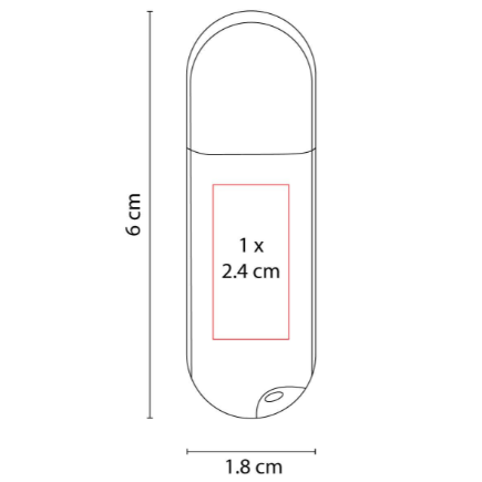 USB ARGOS 4 GB