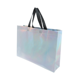 BOLSA CAMALEON