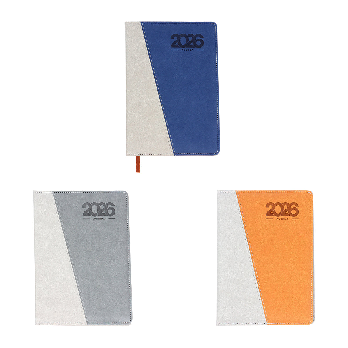 AGENDA DIARIA CAMERI