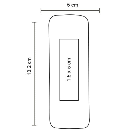 SET DE BROCHAS VANESA