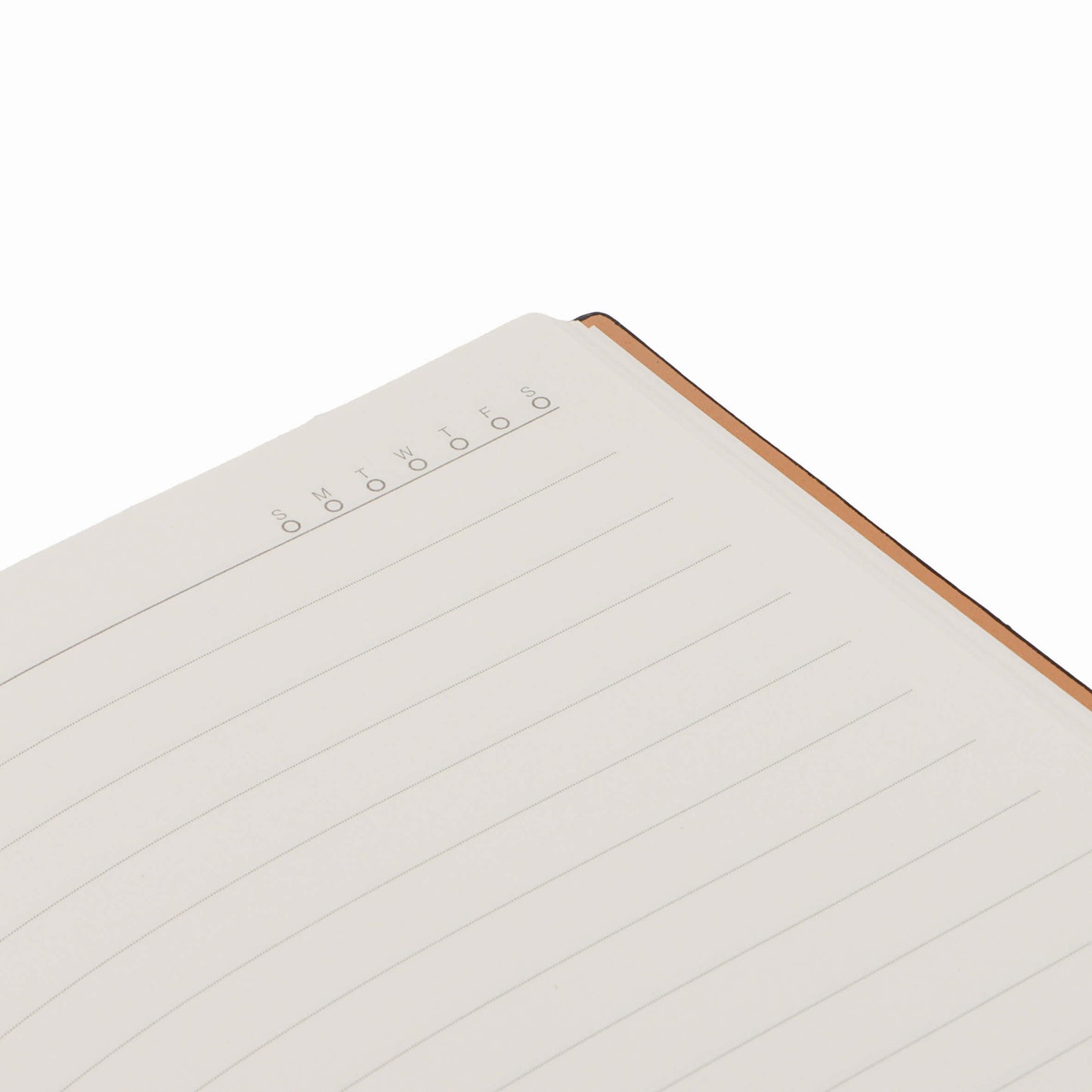 AGENDA DIARIA VOLARA