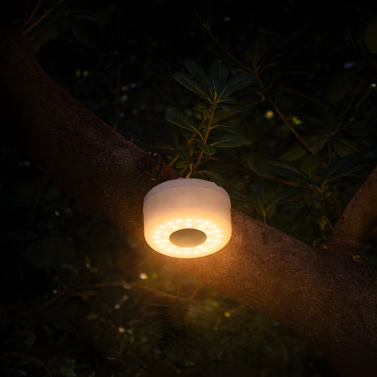 GUIRNALDA DE LUCES "RADIANT"